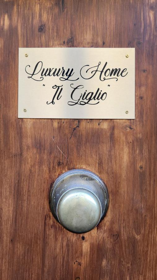 Luxury Il Giglio Appartamento Firenze